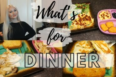WHAT’S FOR DINNER | EASY & BUDGET FRIENDLY MEAL IDEAS