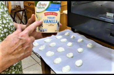 Making Healthy Tasty Snacks in the Dehydrator | Yogurt