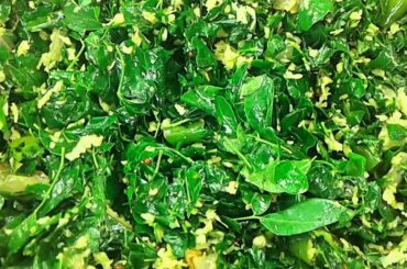 Drumstick  Spinach Healthy Food Preparing | முருங்கை கீரை | Village Farming & Cooking