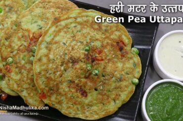 ताजे हरे मटर के उत्तपम । Fresh Green Peas Uttapam | Uttapam Recipe for Lunch Box