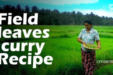 Field leaves curry recipe prepared by mother [Healthy village food] Village Life/CEYLON RECIPES