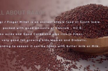 Raagi-Urad laddu || Top Protein Sources | Vit D | Healthy Vegetarian Recipes || Millet || Diabetes