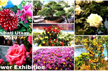 Flower Exhibition Panihati Utsav 2019 | Beautiful Flowers