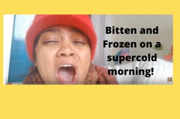 This is Super food Breakfast for babies I Healthy breakfast for kids I  Mishti & The Mishras