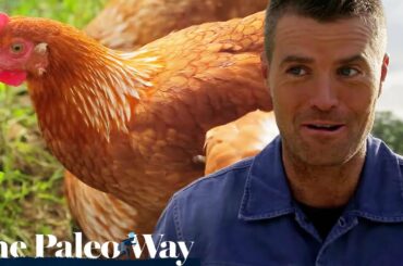 The Paleo Way S01 E07 | Healthy Recipes | Diet Show Full Episodes