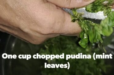 Pudina Parantha | Weight Loss Recipe | Healthy