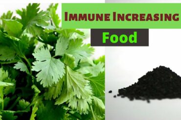 Black Cumin Mashed with Coriander Leaves [Healthy Food Recipe]