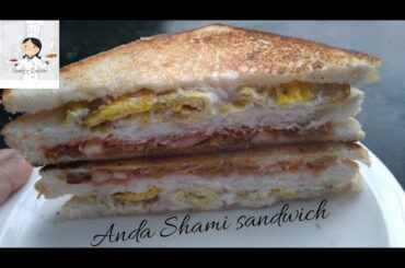Quick Anda Shami Sandwich for Kids lunch box by Samzz Cuisine