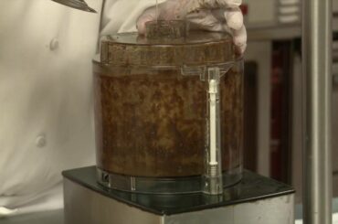 Field Green Salad - Healthy and Simple Meal Ideas from Lincoln Culinary