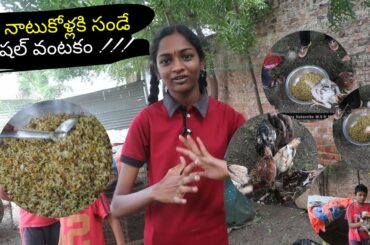 Sunday Special Healthy Food For My Chickens