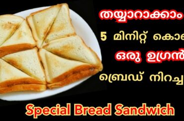 Easy Special  Bread Sandwich| ബ്രെഡ് നിറച്ചത് കഴിച്ചയിട്ടുണ്ടോ |RimsEasyRecipes