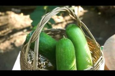 Fresh and Healthy Winter Melon Soup,Winter Melon Soup Recipe - Pisey Lifestyle