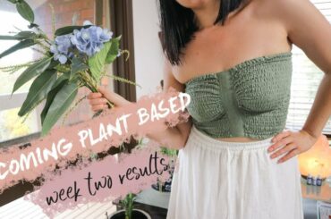 Why I Became Vegetarian & Healthy Meals I've Been Eating / Vlog