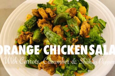 ORANGE CHICKEN SALAD WITH CARROTS, CUCUMBER & SHISHITO  PEPPERS | Marilou Perdiz