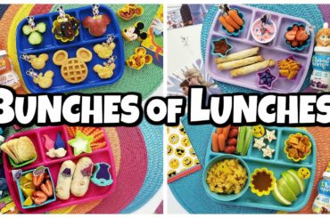 Lunch Ideas For PICKY EATERS 🍎 Making YOUR lunch Ideas