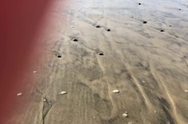 Healthy breakfast/ Beautiful hike