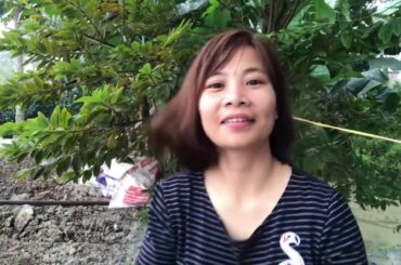 how to make veal salad with sesame snack and shrimp flavor