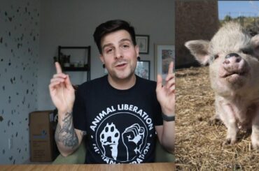 New Vegan Treats for the New Year: January Snack Box