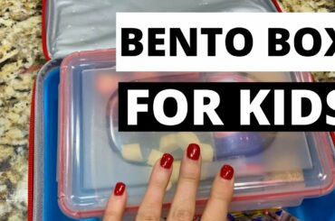 Bento Box Lunch Ideas For Kids