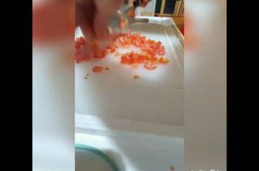 Healthy Recipe for 2020|Quick and Delicious Black Bean Salad