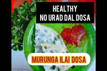 முருங்கை இலை தோசை | No urad Dal| Healthy Breakfast recipe #dosarecipes #moringaleavesdosa #breakfast