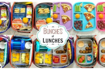 School Lunch Ideas for KIDS 🍎 JK, K, 1st grade, 2nd Grade | Bunches of Lunches