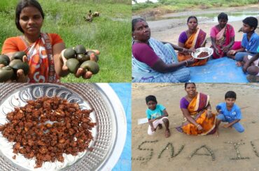 ஆற்றுப்படுகையில் குடும்பத்தோடு  நத்தை பிடுத்து மொறு மொறு நத்தை சில்லி / River Snail Chilli Recipe