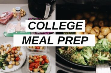Attempting Meal Prep in my DORM | healthy air fryer meal
