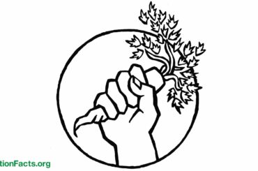 The Healthy Food Movement: Strength in Unity