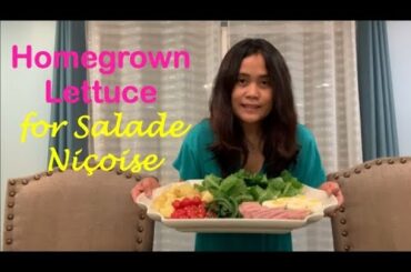 Homegrown Lettuce for Salade Niçoise | Garden to Table | Gardening in Los Angeles | Winter Garden