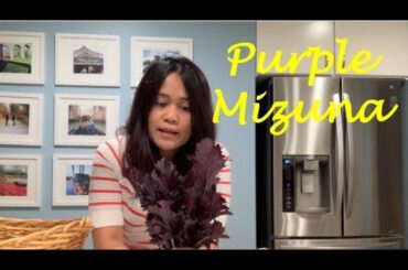 Purple Mizuna and Lemon from the Backyard Garden for Dinner | Daily Life & Random Stuff