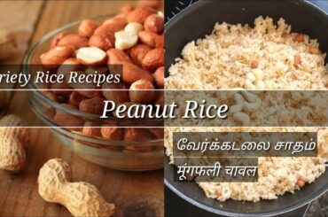 Peanut Rice || मूंगफली चावल || வேர்க்கடலை சாதம் || Variety Rice Recipes || Healthy Lunch Menu