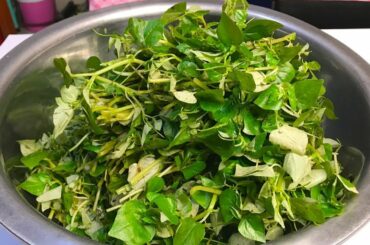 Yummy cooking beef with fresh peperomia pellucida recipe - Healthy food