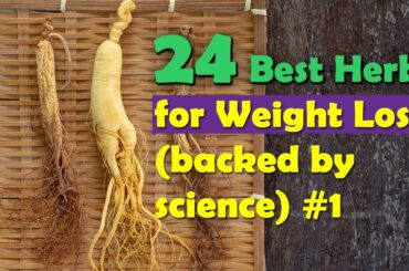 24 Best Herbs For Weight Loss | Herbs and Weight Loss Drink Recipes - Backed by science(Part 1)