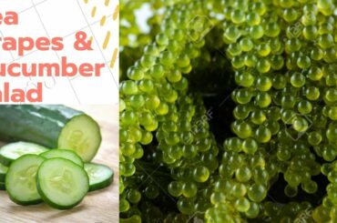 Preparing Sea Grapes & Cucumber Salad | Healthy Foods | JanexTv #6 | Budget Meal Salad |