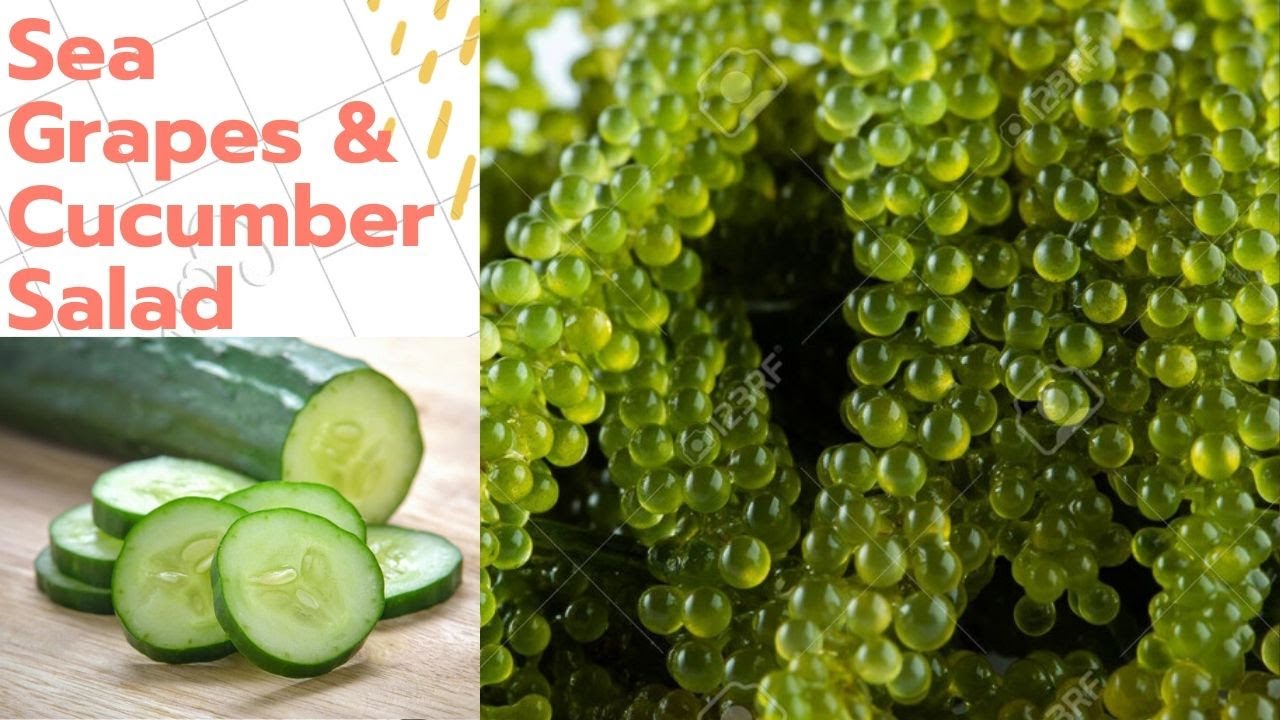 Preparing Sea Grapes & Cucumber Salad Healthy Foods JanexTv 6