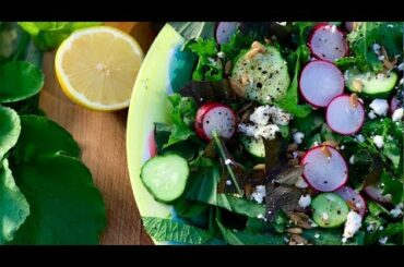 🍅 LIVE:  4 Quick & Easy Healthy Eating Habits Using Garden Fresh Veggies // 2019 Reset