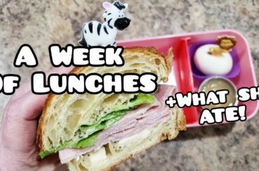 School lunch ideas PLUS what she ate! - Bento lunches - Bella Boo's Lunches