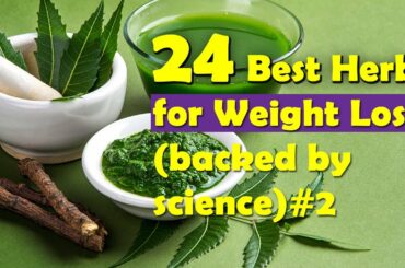 24 Best Herbs For Weight Loss | Herbs and Weight Loss Drink Recipes - Backed by science (Part 2)