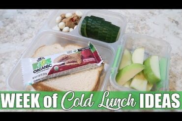 On-the-Go Cold Lunch Ideas | Fevers and Colds for Everyone | January 2020