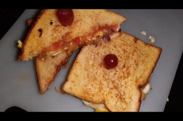 Special sandwich/try once you will fall in love