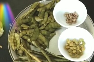 PONGAL season healthy food simple receipe but healthy /Fresh protein snack