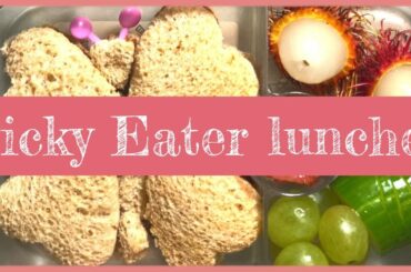 Packing Lunches For Very Picky Kids Help! 🥒 NEW LUNCH IDEAS