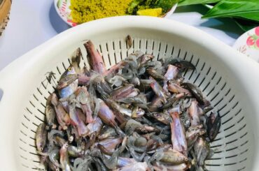 Yummy cooking small shrimp and fish with turmeric leaf - Healthy Food