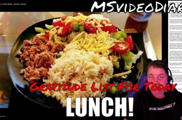 Gratitude List - healthy lunch!  #MultipleSclerosis Vlog 17 Jan 2020