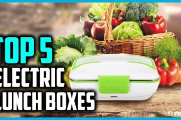 Top 5 Best Electric Heated Lunch Boxes in 2019