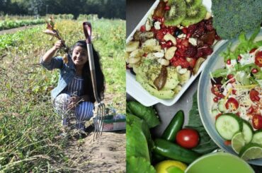 From Farm to Fork ......Visit to Grays Farm UK....Healthy Salad with Fresh fruits and Veggies