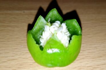 Green Chilli Flower Carving,Salad plate Decoration ideas|Simple and easy salad decoration