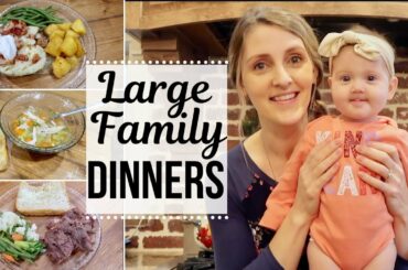 Large Family Dinners // Supper Ideas // What's for Dinner?
