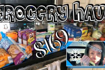 Weekly Grocery Haul  | Meal Plan 📝 | Meal Ideas 🍽 | Grocery Haul | Vanessa White Random-Ness